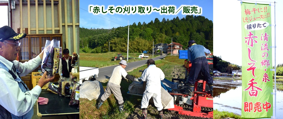 Ԃ̊`oׁ^̔