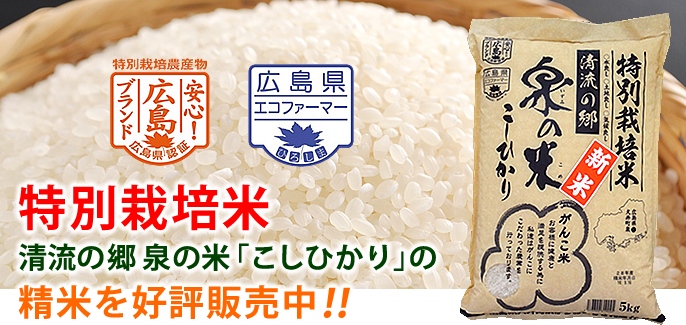 清流の郷 泉の米 特別栽培米「こしひかり」の精米を好評販売中!